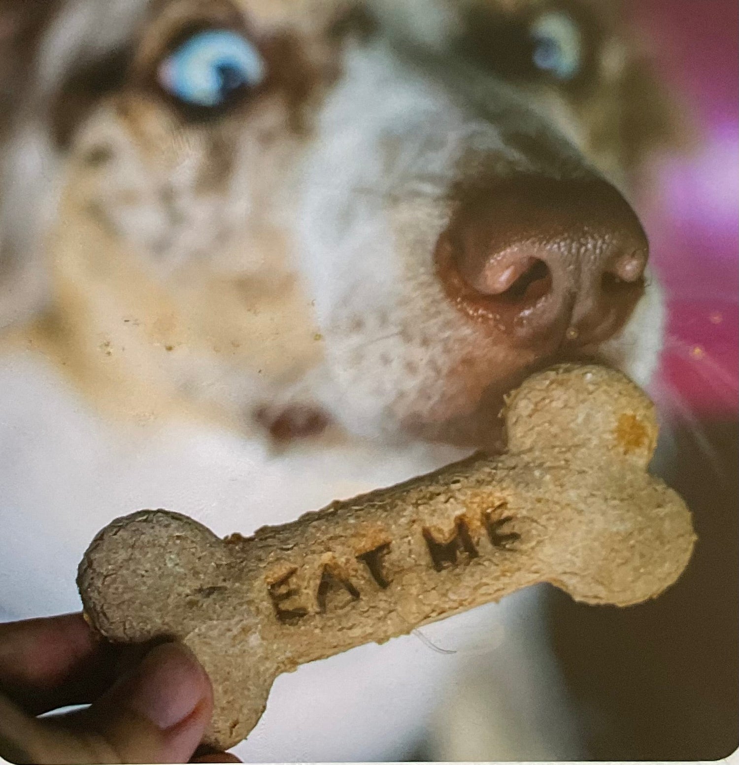 The Subscription Boxes