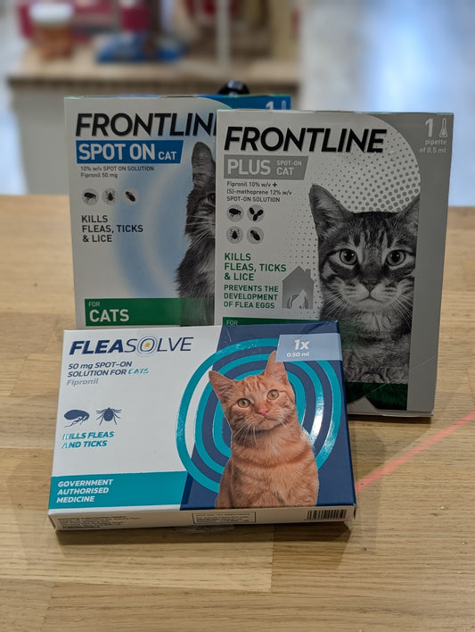 Cat Health Plan